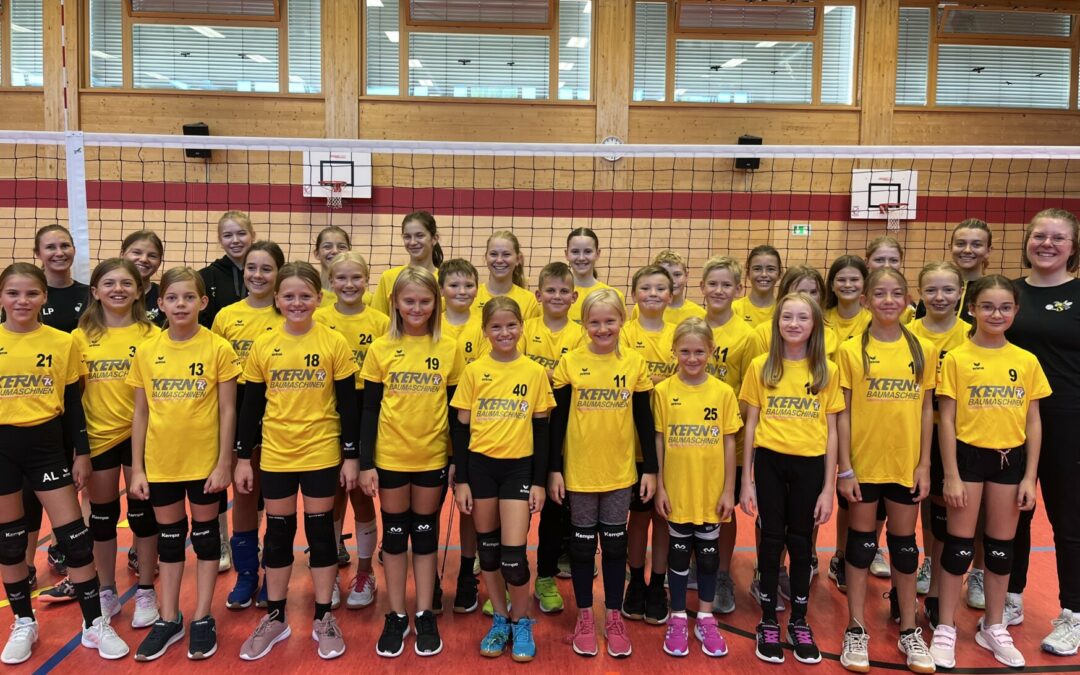 Wilde Wespen Steinach gewinnen BVV-Jugendförderpreis